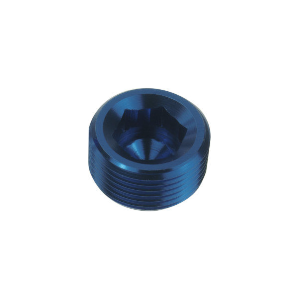 Blue 1 NPT Hex Allen Key Blanking Plug Adapter