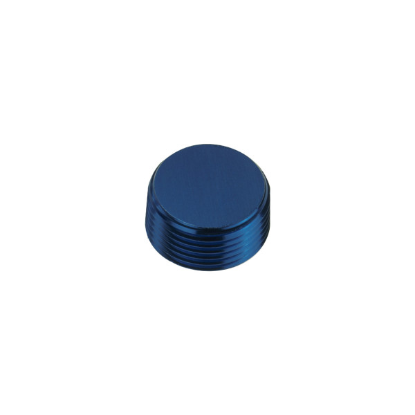 Blue 1 NPT Hex Allen Key Blanking Plug Adapter