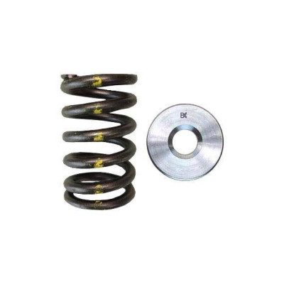 Brian Crower TB48 Single Spring & Titanium Retainer Kit