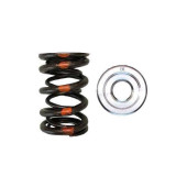 Brian Crower Dual Spring & Titanium Retainer Kit for B18/B20