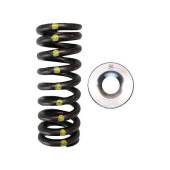 Brian Crower D16Y8/D16Z6 Single Spring & Titanium Retainer Kit