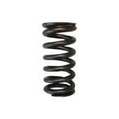 Brian Crower BC1089 Single Valve Springs for Honda L15 Engine