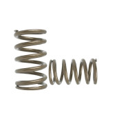 Spring Set for Toyota 3S-GE Gen 2 3 4