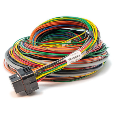 25m Loom Wiring for ECUs - High-Quality Automotive Wire