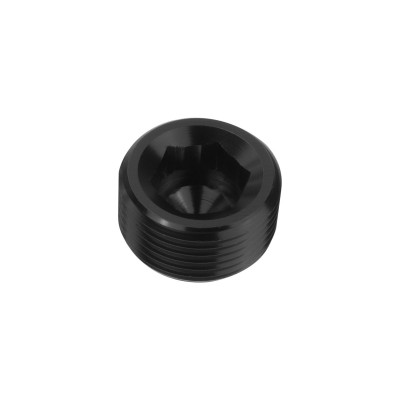 1/4 NPT Hex Allen Key Blanking Plug - Fuel Adapter Seal
