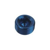 1/4 NPT Hex Allen Key Blanking Plug - Blue Fuel Adapter