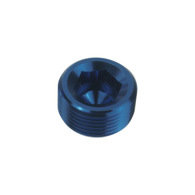 1/4 NPT Hex Allen Key Blanking Plug - Blue Fuel Adapter