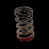 Turbosmart Gen V 40PSI Wastegate Spring for Boost