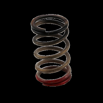 Turbosmart Gen V 40PSI Wastegate Spring for Boost