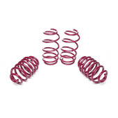 Vogtland Lowering Springs Opel Vectra 30/30 - 955146