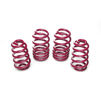 Vogtland Lowering Springs for Seat Exeo - 40mm / 40mm Drop 951305