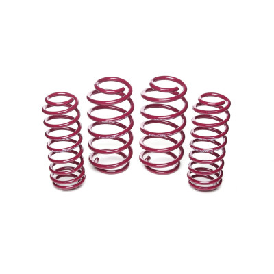 Vogtland Lowering Springs for Seat Ibiza - 30mm / 30mm Drop 951302