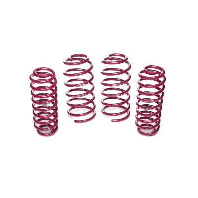 Vogtland Lowering Springs for Seat Leon 50/30 - 951387