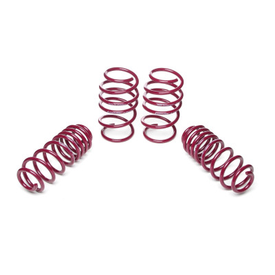 Vogtland Lowering Springs for Seat Leon - 40/30 Drop - 956154