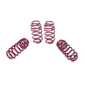 Vogtland Lowering Springs Skoda Superb 40/40 - 956078