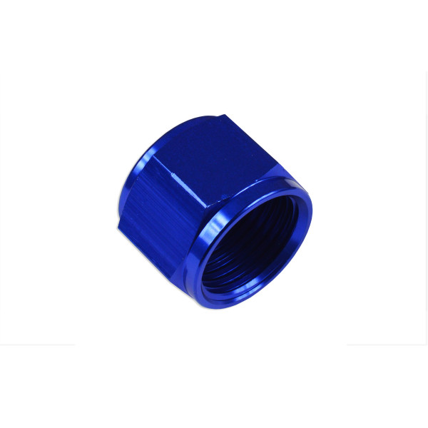 AN-10 JIC Female Flare Hex Port Plug Adapter - Blue