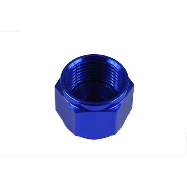 AN-10 JIC Female Flare Hex Port Plug Adapter - Blue