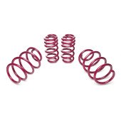 VW T5 Vogtland Lowering Springs 30/30 - 956121