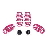 VW Golf VIII GTI Coilover Springs 30/15-40 - 930009