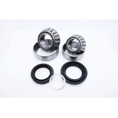 RacingDiffs BMW Front differential bearing kit – Iron