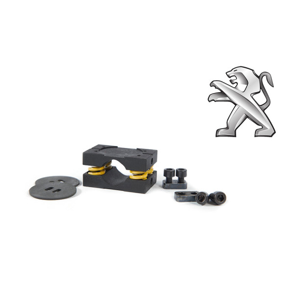 RacingDiffs Peugeot / Citroen - LSD conversion set