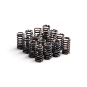Stiffer Valve Springs Performance for 1.4 TSI EA111