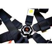 6 Point Black Harness FIA Approved 8853