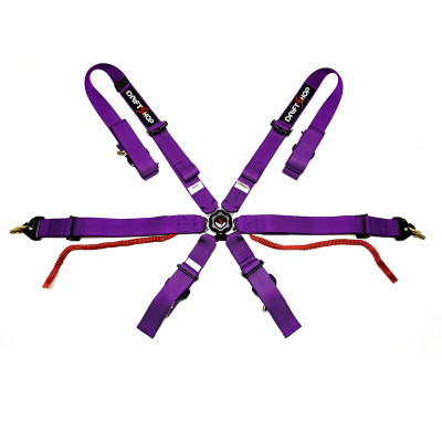 6 Point Harness Purple FIA Approved 8853