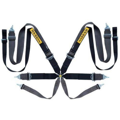 Sabelt Saloon Gold 8-Point FIA Racing Seat Belts CCG833SND