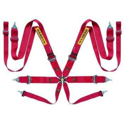 Sabelt Saloon Silver 8-Point FIA Racing Seat Belts CCA833S