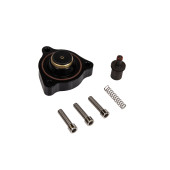 TurboWorks BMW N55 3.0T Blow Off Adapter