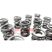 VW 2.8 12V VR6 Valve Springs & Retainers Set