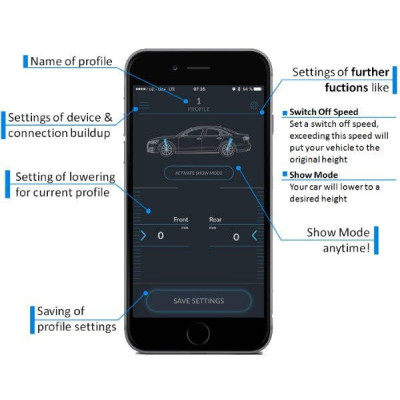Advanced Active Suspension Control for Audi Vehicles