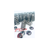 BMW 2.0 16V B48B20 Conical Valve Springs & Retainers