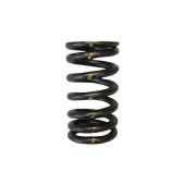 Brian Crower BC1220 Valve Springs for Nissan VQ35DE