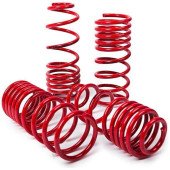 40mm MTS Lowering Springs for VW Passat B5 Sedan