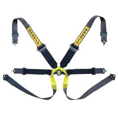 Sabelt Formula Gold 6-Point Racing Seat Belts FIA Certified