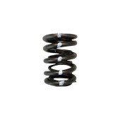 Brian Crower Dual Valve Springs for Honda/Acura & Nissan
