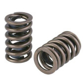 Supertech M50/M52/M54 Double Valve Spring Set Upgrade