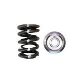 Brian Crower Dual Spring & Titanium Retainer Kit - Honda