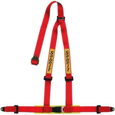Sabelt 3-Point Racing Seat Belts (90..19N) - Safety & Style