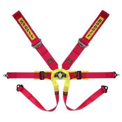 Sabelt Formula Silver 6-Point FIA Racing Seat Belts CCA632F-D