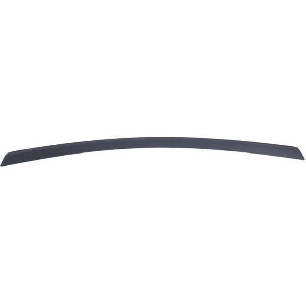Mercedes-Benz CLS W219 Trunk Spoiler AM Style