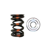 Brian Crower Dual Spring & Titanium Retainer Kit B18