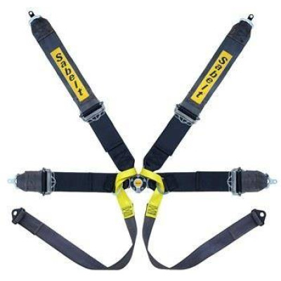 Sabelt Formula Gold 6-Point Racing Seat Belts FIA Certified