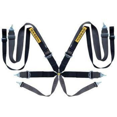 Sabelt Saloon Gold 8-Point FIA Racing Seat Belts CCG833SNU