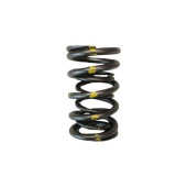 Brian Crower Dual Valve Springs for Toyota 2JZ