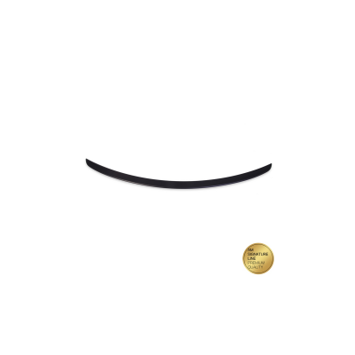 Mercedes-Benz CLS C219 Lip Spoiler - Matte Black Finish