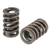 BMW S65 Valve Spring Kit - 32-Piece Performance Upgrade