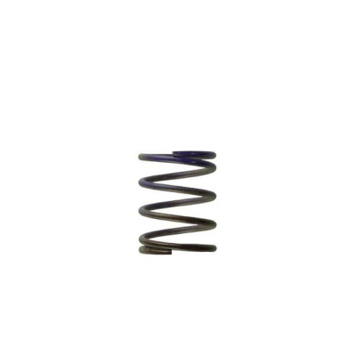 Turbosmart 0.5 Bar Wastegate Spring for 38/40/45mm Valves